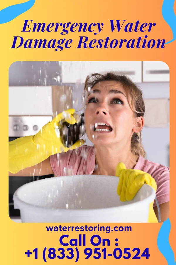 Emergency Water Damage Restoration in Bricelyn, MN