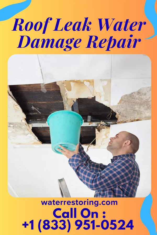 Roof Leak Water Damage Repair in Bricelyn, MN